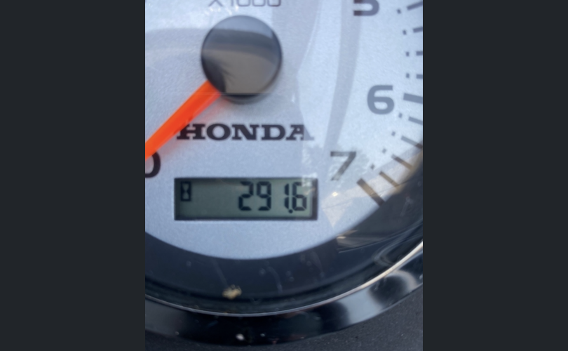 Buster Magnum-kuva-8